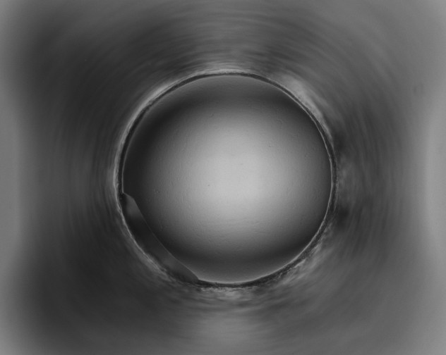 X0000096691197200802191422