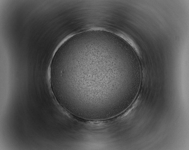 X0000096691198200802191422