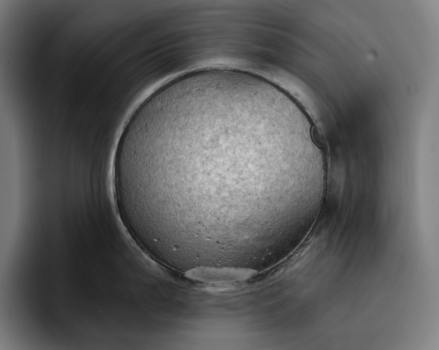 X0000096691199200802191422