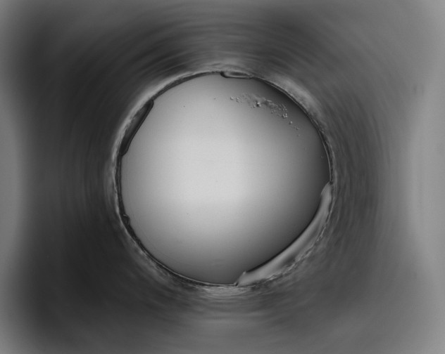 X0000096691200200802191422