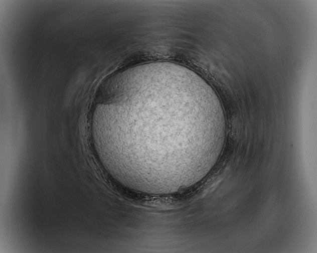 X0000096691201200802191421