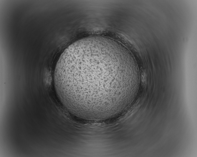 X0000096691204200802191421