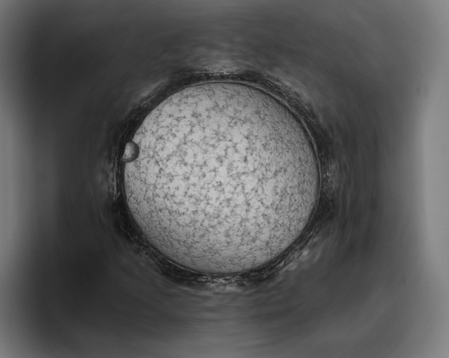 X0000096691205200802191421