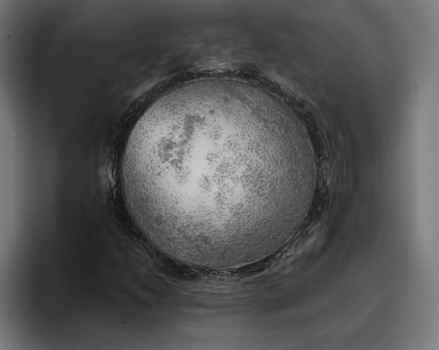 X0000096691206200802191421