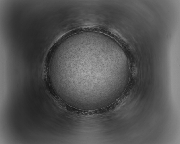 X0000096691208200802191421