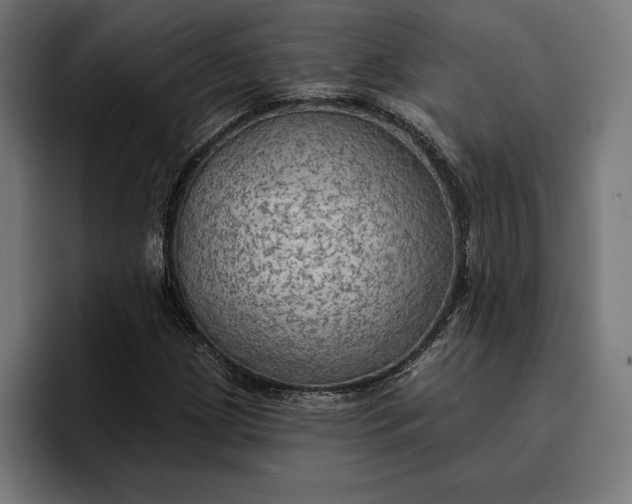 X0000096691209200802191421