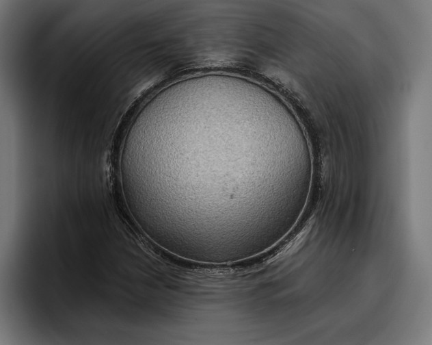 X0000096691210200802191421