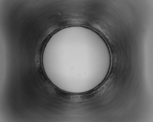 X0000096691211200802191421