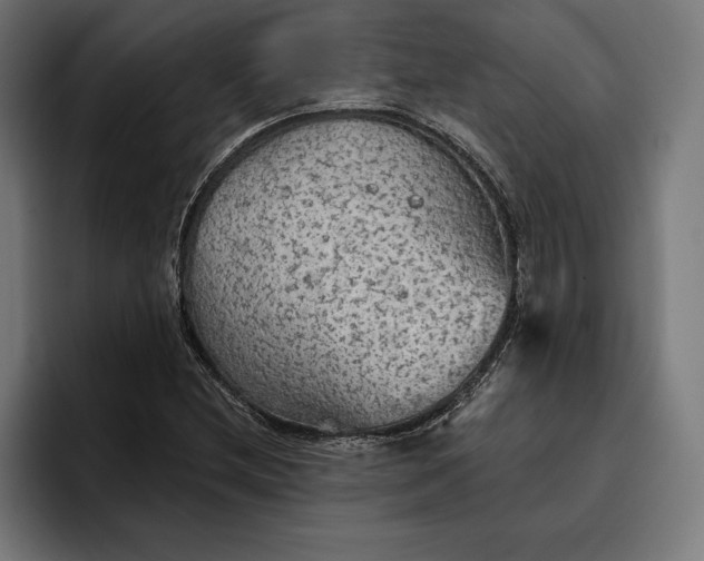 X0000096691212200802191421