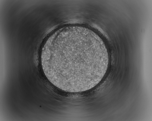 X0000096691213200802191421