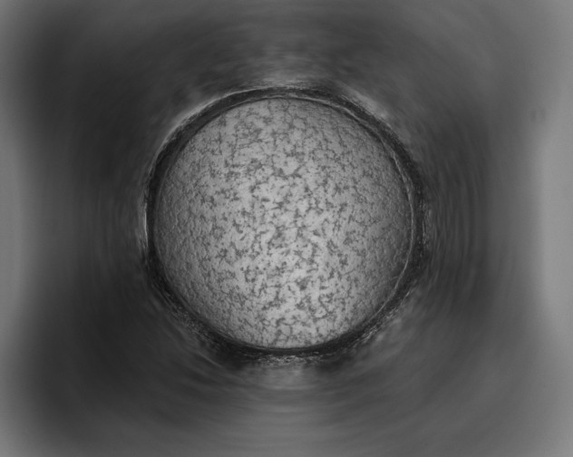 X0000096691214200802191421