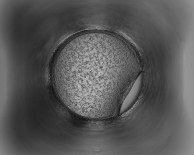 X0000096691215200802191421