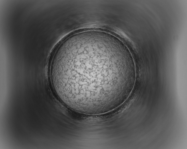 X0000096691216200802191421