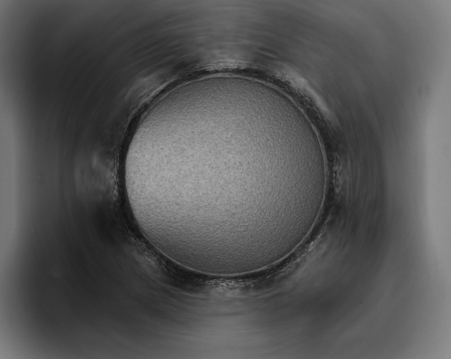 X0000096691217200802191421