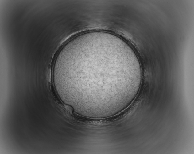 X0000096691220200802191421