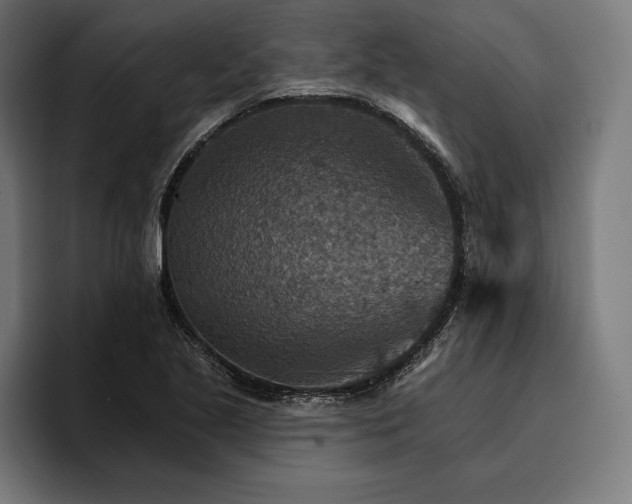 X0000096691221200802191421