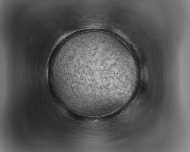 X0000096691222200802191421