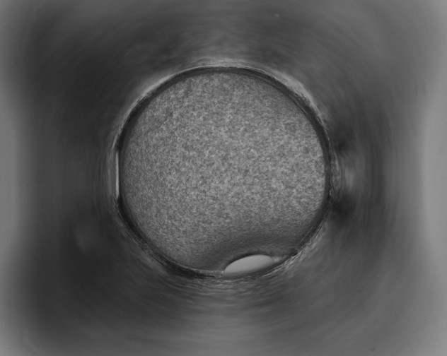 X0000096691223200802191421