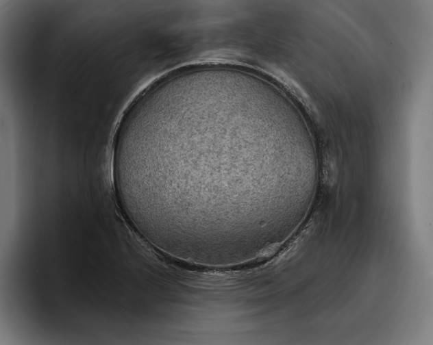 X0000096691224200802191421