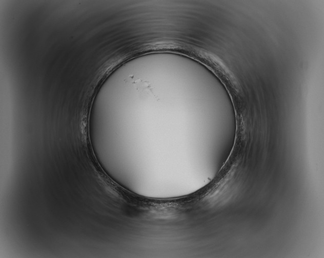 X0000096691225200802191421