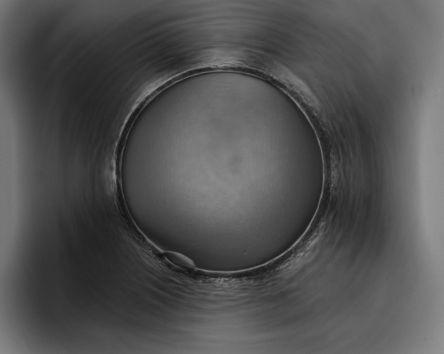 X0000096691226200802191421