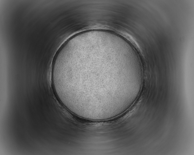 X0000096691228200802191421