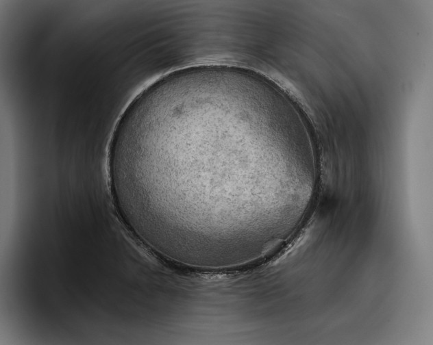 X0000096691230200802191421