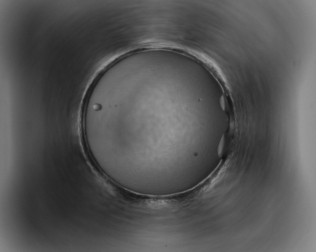 X0000096691231200802191421