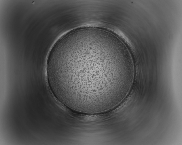 X0000096691232200802191421