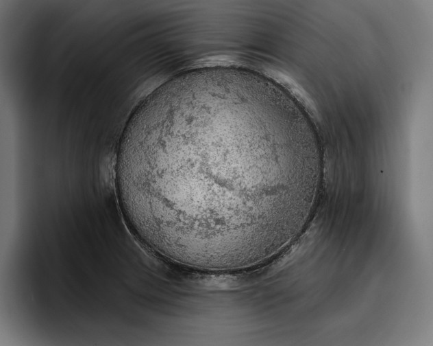 X0000096691233200802191421