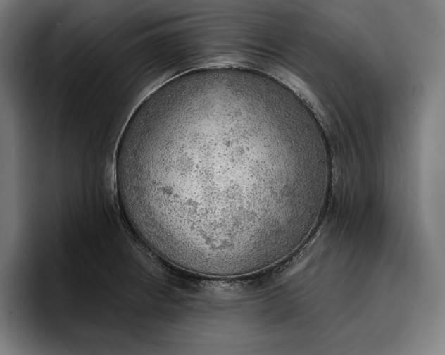 X0000096691234200802191421