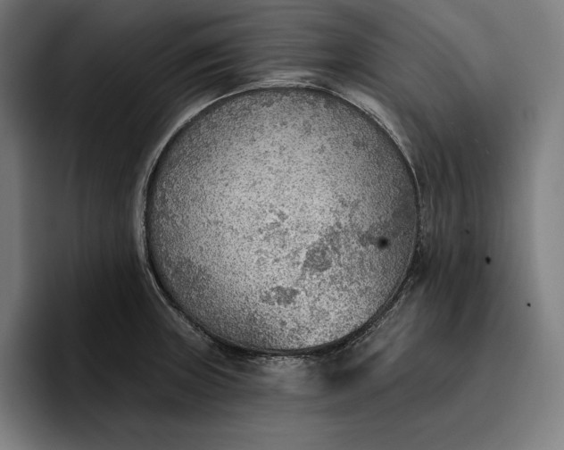 X0000096691235200802191421