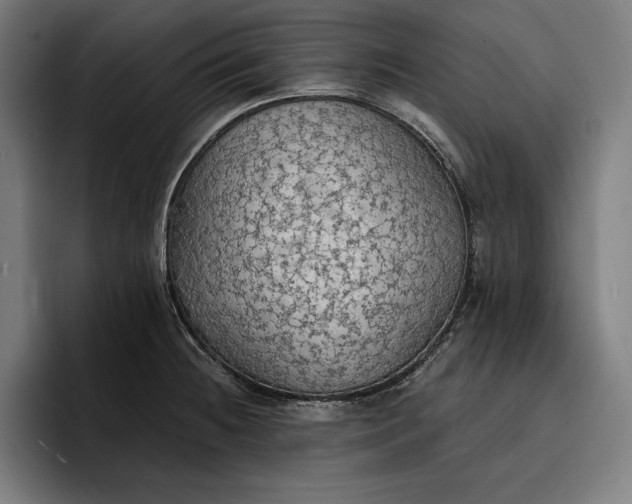 X0000096691236200802191421