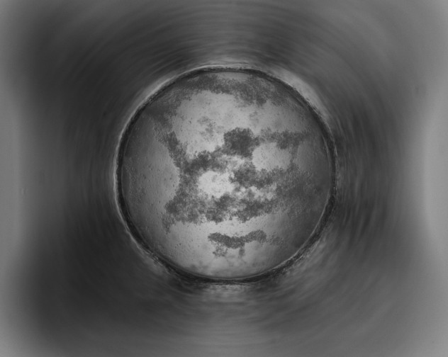 X0000096691237200802191421