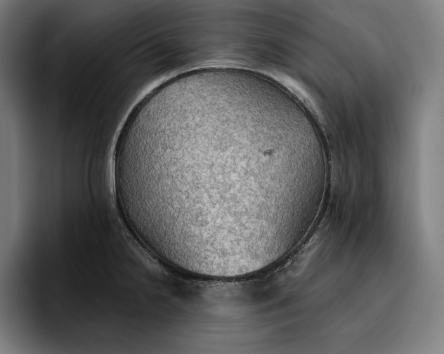 X0000096691238200802191421