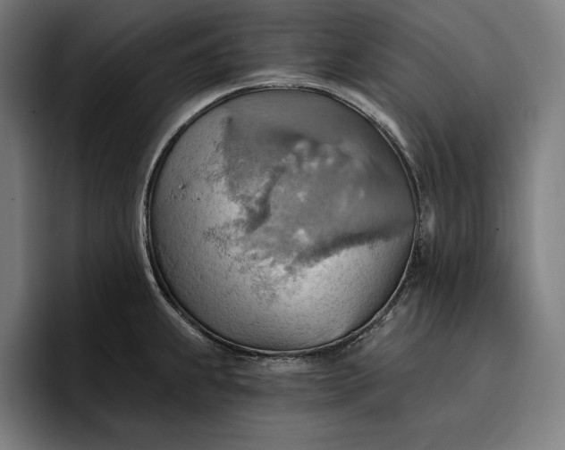 X0000096691239200802191421