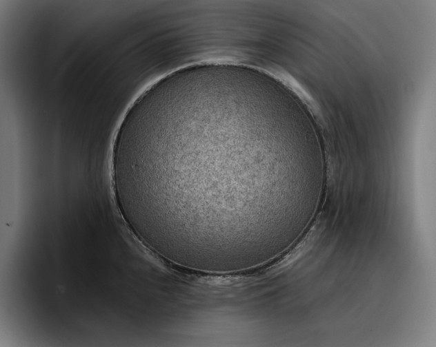 X0000096691240200802191421