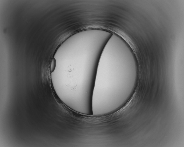 X0000096691241200802191421