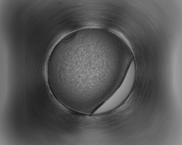 X0000096691243200802191421