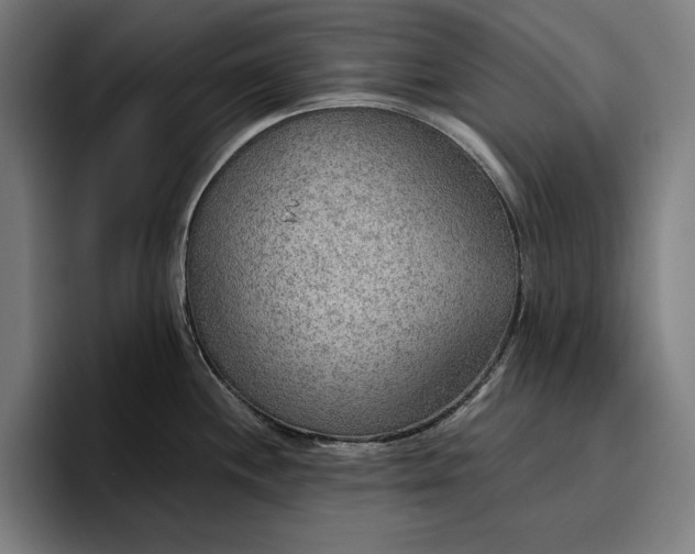 X0000096691244200802191421