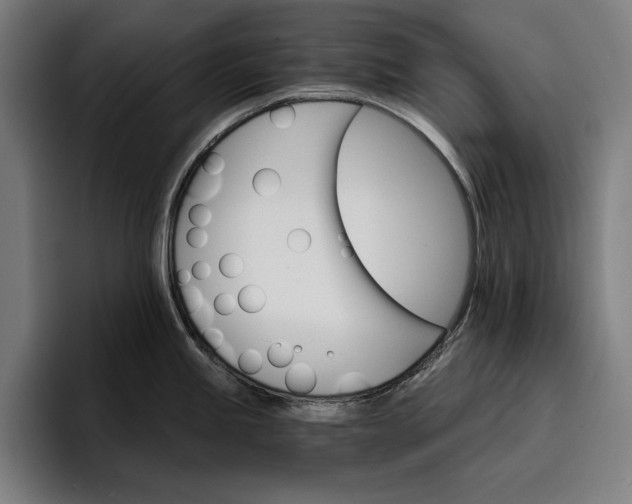 X0000096691245200802191421