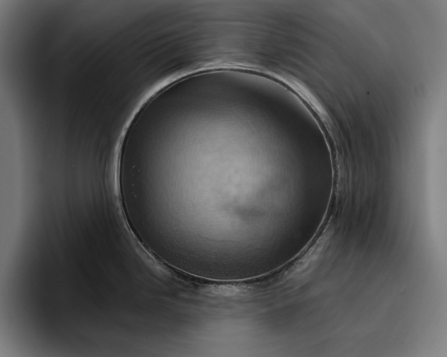 X0000096691246200802191421