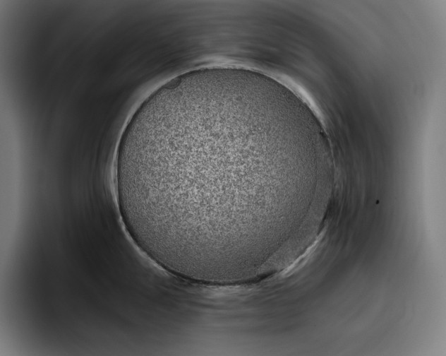 X0000096691247200802191421