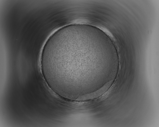 X0000096691248200802191422