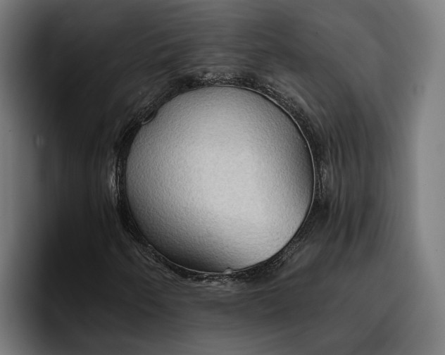 X0000096691250200802191421