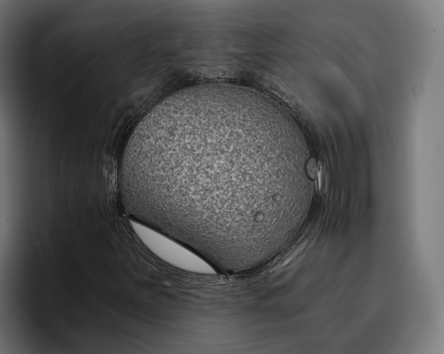 X0000096691251200802191421