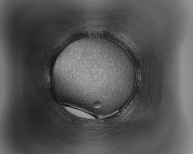 X0000096691252200802191421