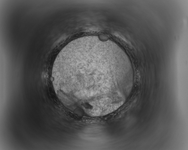 X0000096691254200802191421