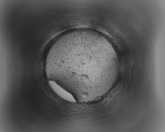 X0000096691255200802191421