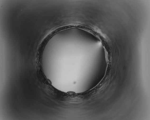 X0000096691256200802191421